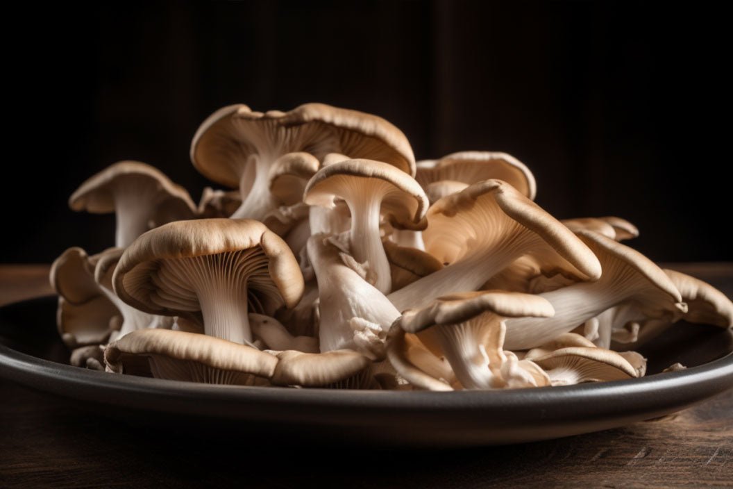 Amazing Oyster Mushroom Recipes A Delightful Culinary Experience